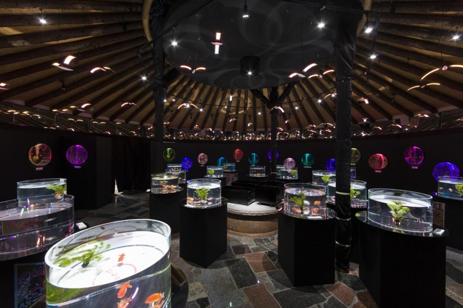 Gotemba Kogen Tokinosumika酒店 外观 照片